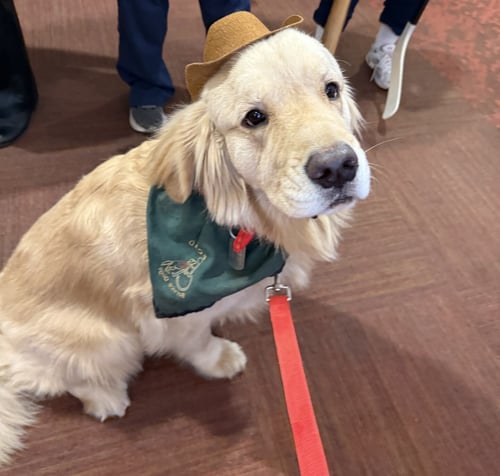 21f79e56-3baf-4615-8342-b498f0f96c8c v2