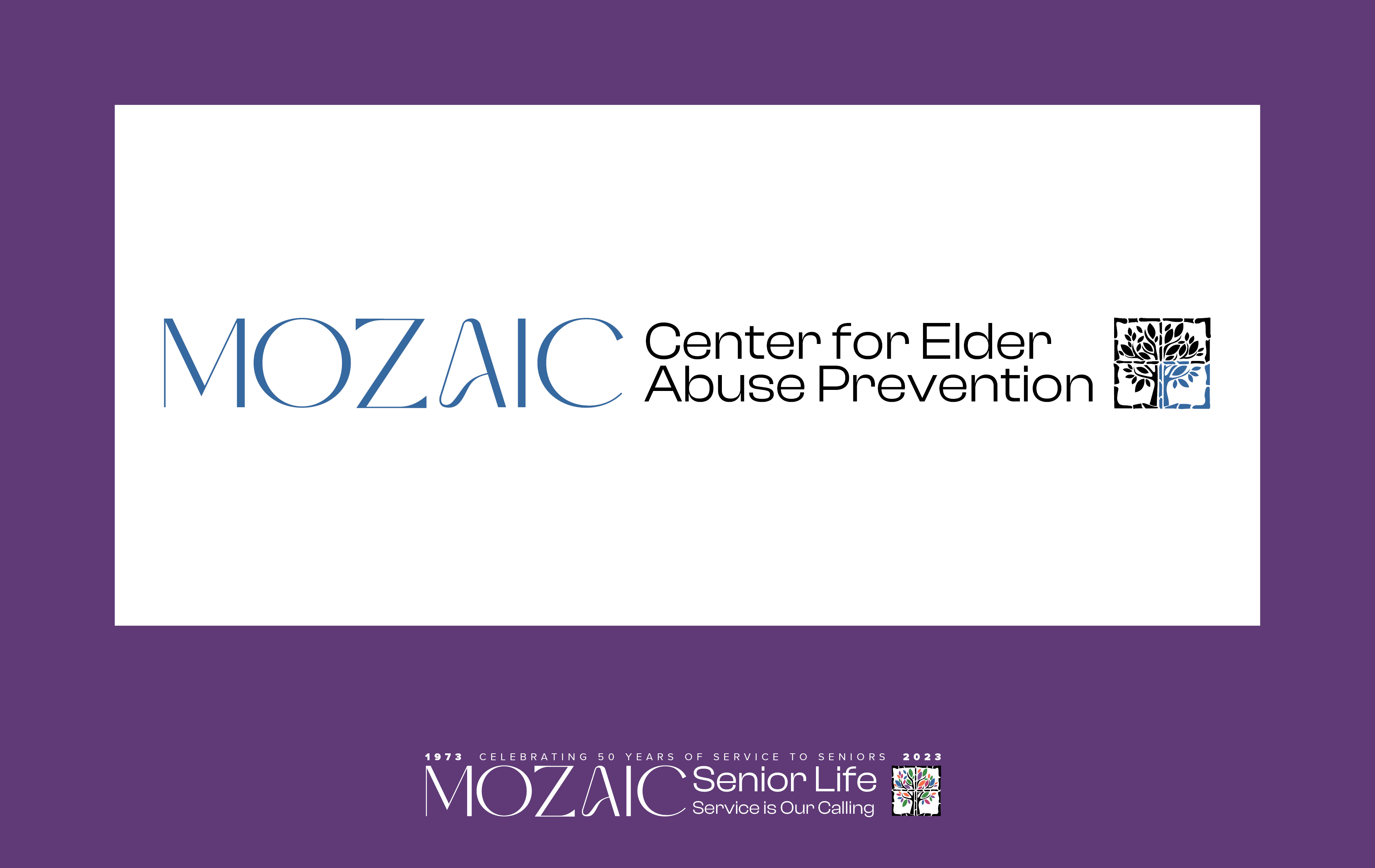 Center for Elder Abuse Prevention